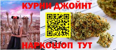 стафф Гай