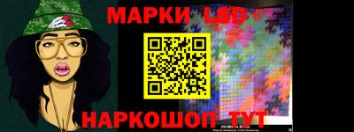 стафф Гай