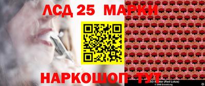 стафф Гай