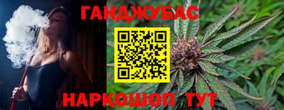 крисы Гагарин