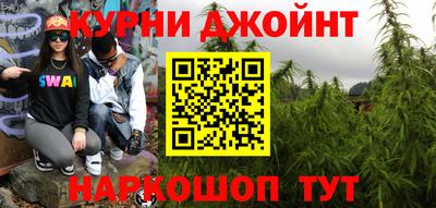 крисы Гагарин