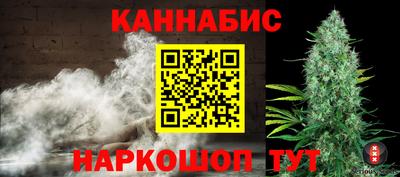 крисы Гагарин