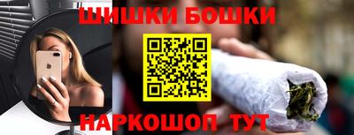 стафф Гай