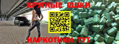 стафф Гай