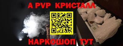 стафф Гай
