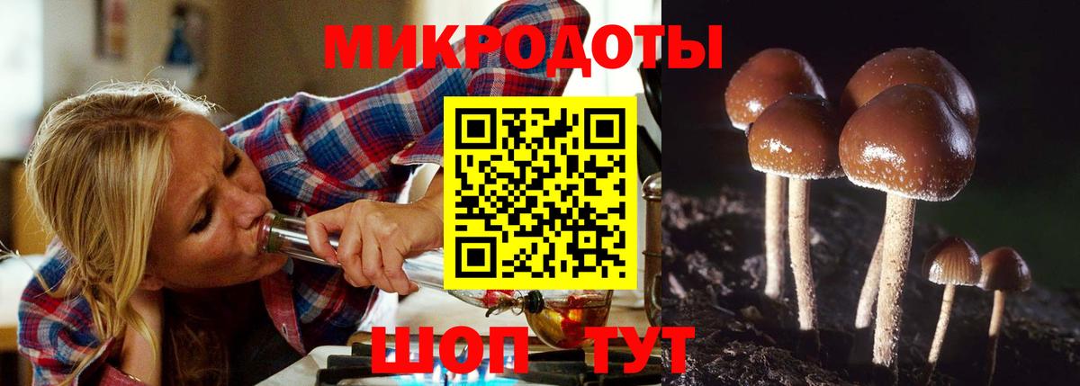 Северск  Псилоцибиновые грибы мицелий  Вход с VPN  Псилоцибиновые грибы Cubensis 